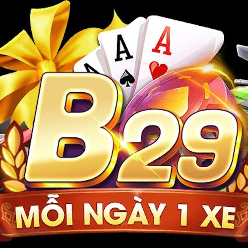 b29