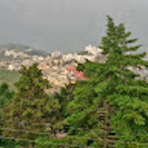Kamal Raturi