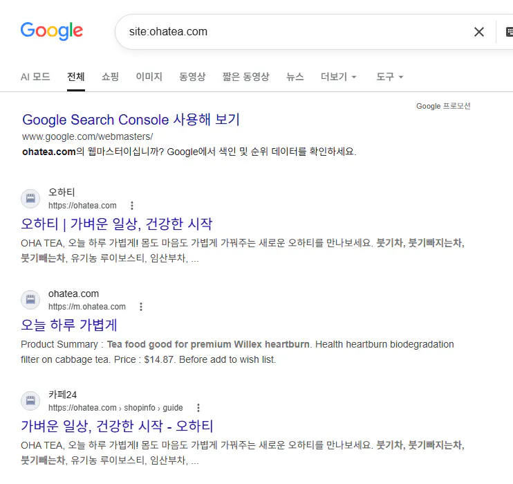 구글에서 한국어 검색어로 검색한 결과