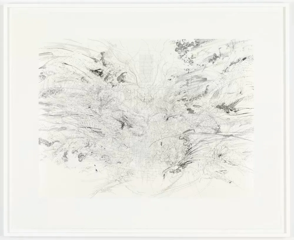 Expand

Expand
Entropia (construction), 2005
Lithograph with Gampi chine colle on Somerset Satin
40 × 49 3/4 in. (101.6 × 126.4 cm) Frame: 43 1/4 × 53 in. (109.9 × 134.6 cm)
The Studio Museum in Harlem; gift of the artist
2006.25