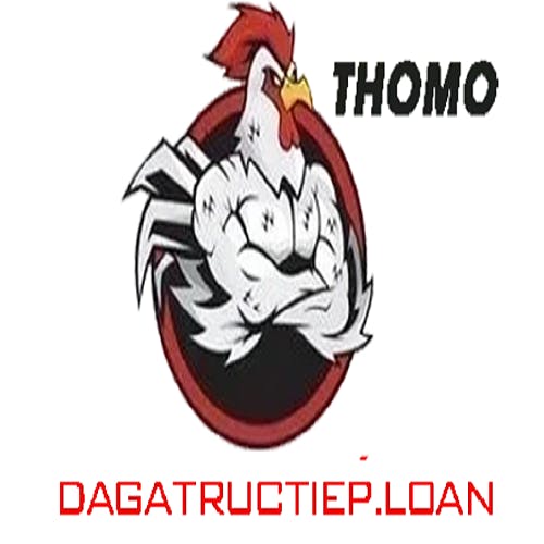 Đá Gà Trực Tiếp Loan