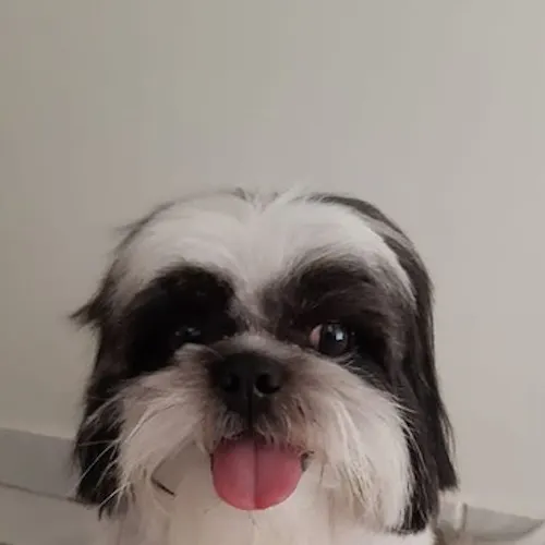 LeonardoTaitiNakamura