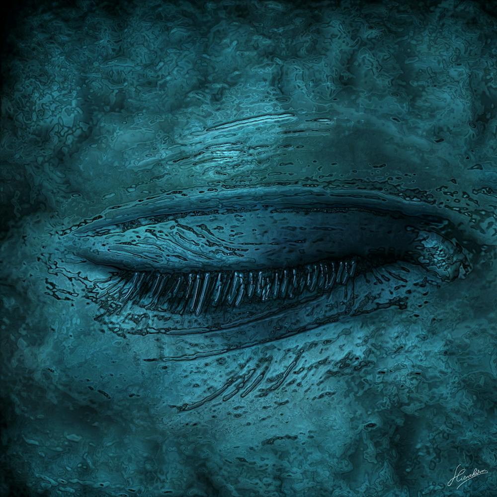 Bogdan Alex Cristea