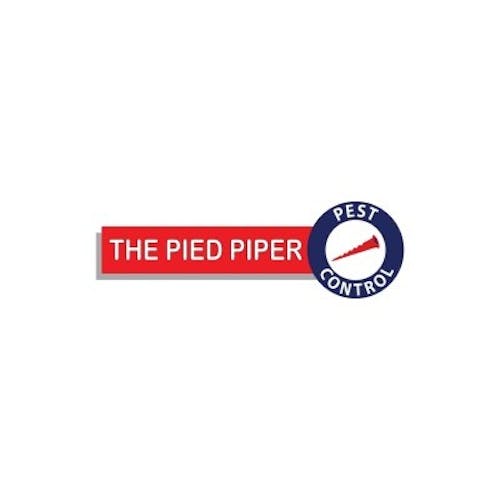 thepiedpiper