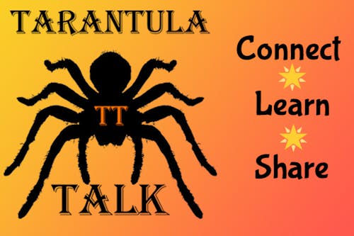 Tarantula Talk