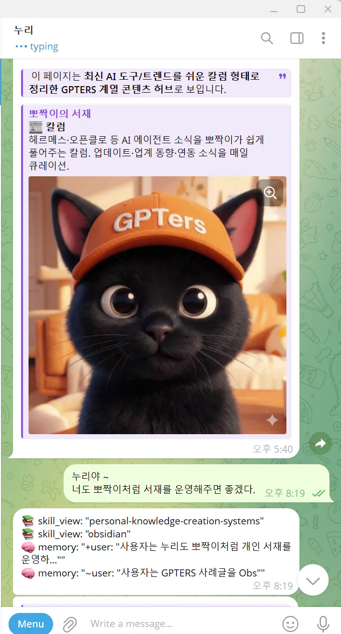 모자를 쓴 고양이와 대화하는 스크린샷
