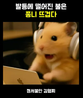 노트북에 헤드폰이있는 햄스터