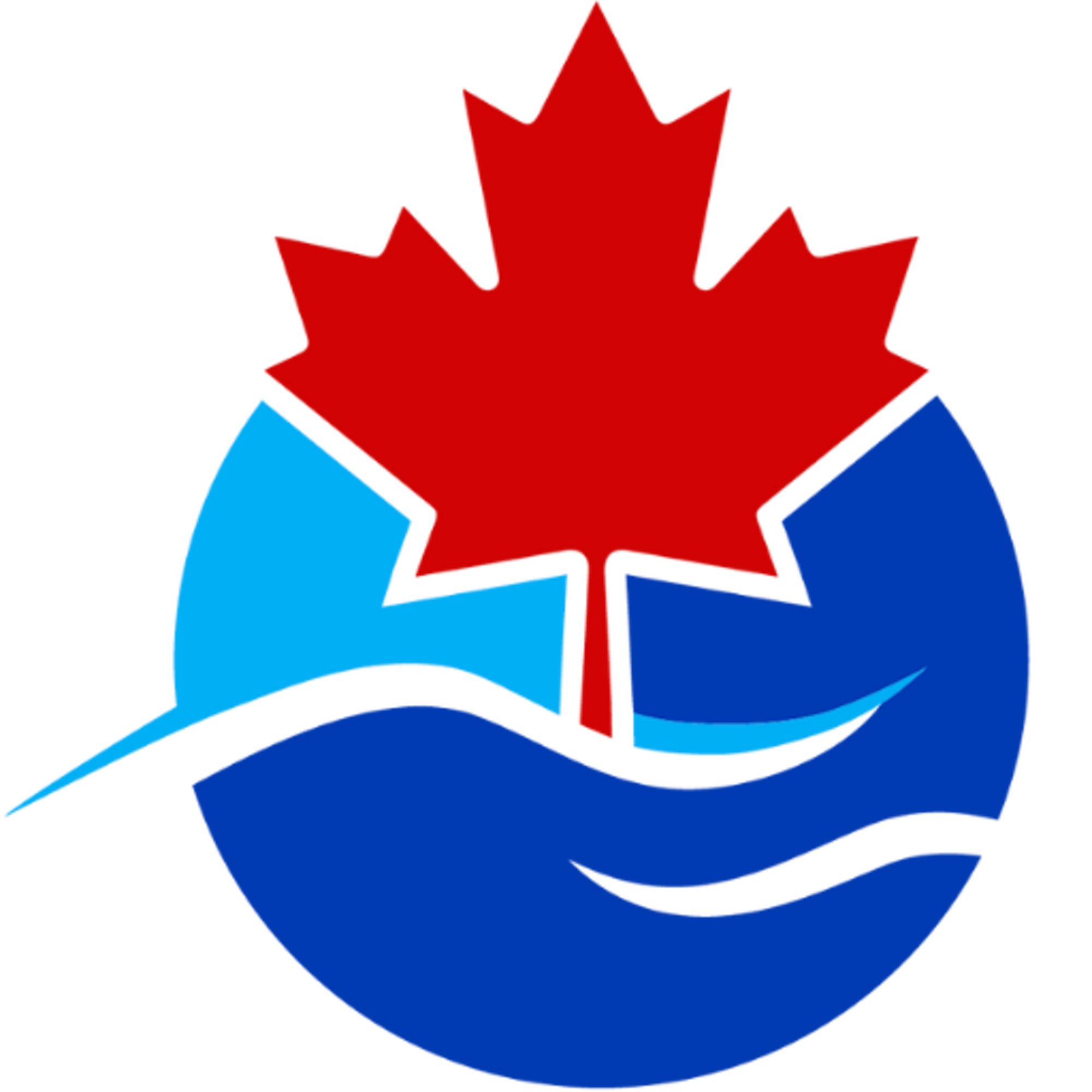 Canadian Swim Schools