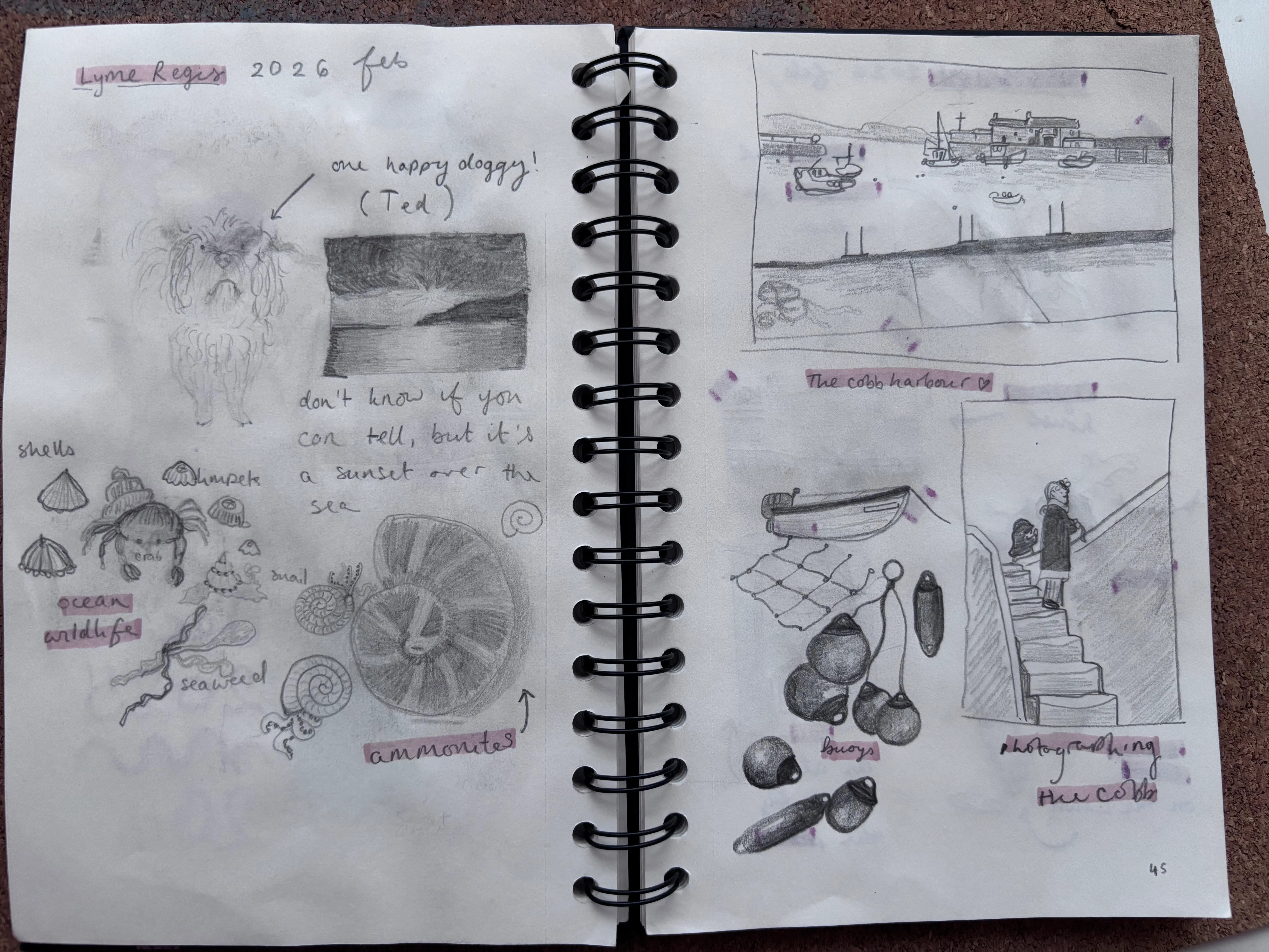 A sketchbook showing illustrations from the seaside at Lyme Regis (UK). Including a happy doggy, ocean wildlife, and a view of the harbour.