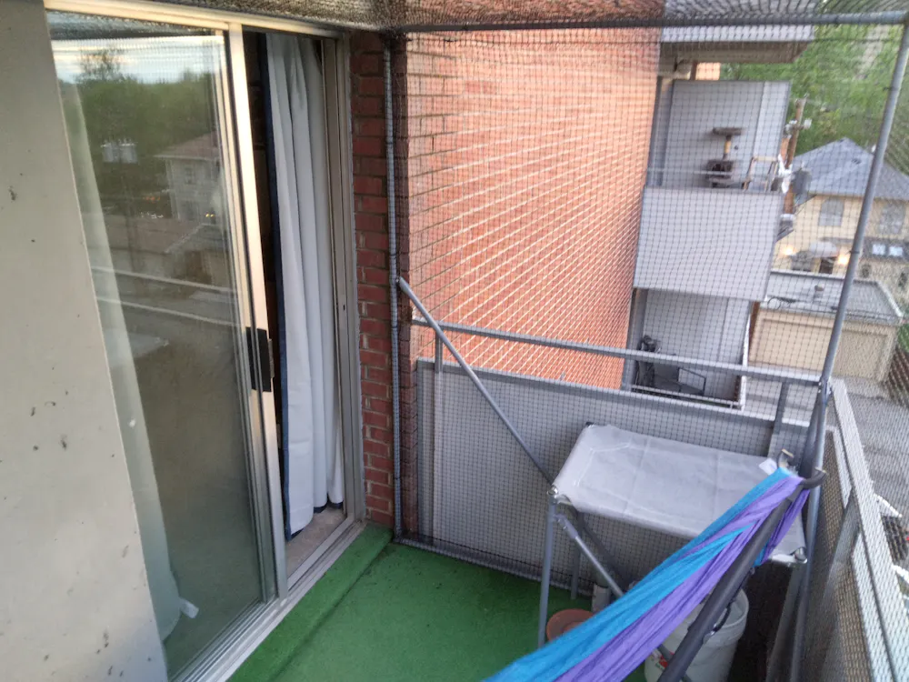 IMG_20260520_200209_HDR.jpg