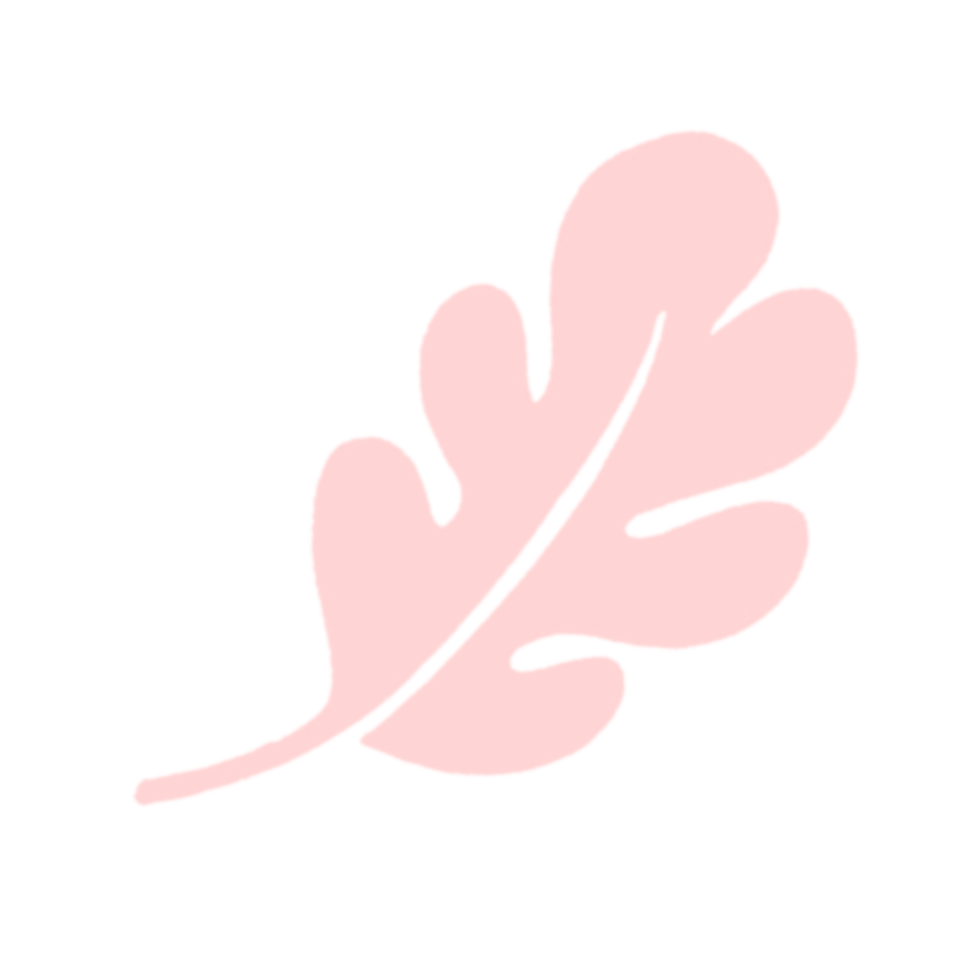 Flori's Creative Buddies 