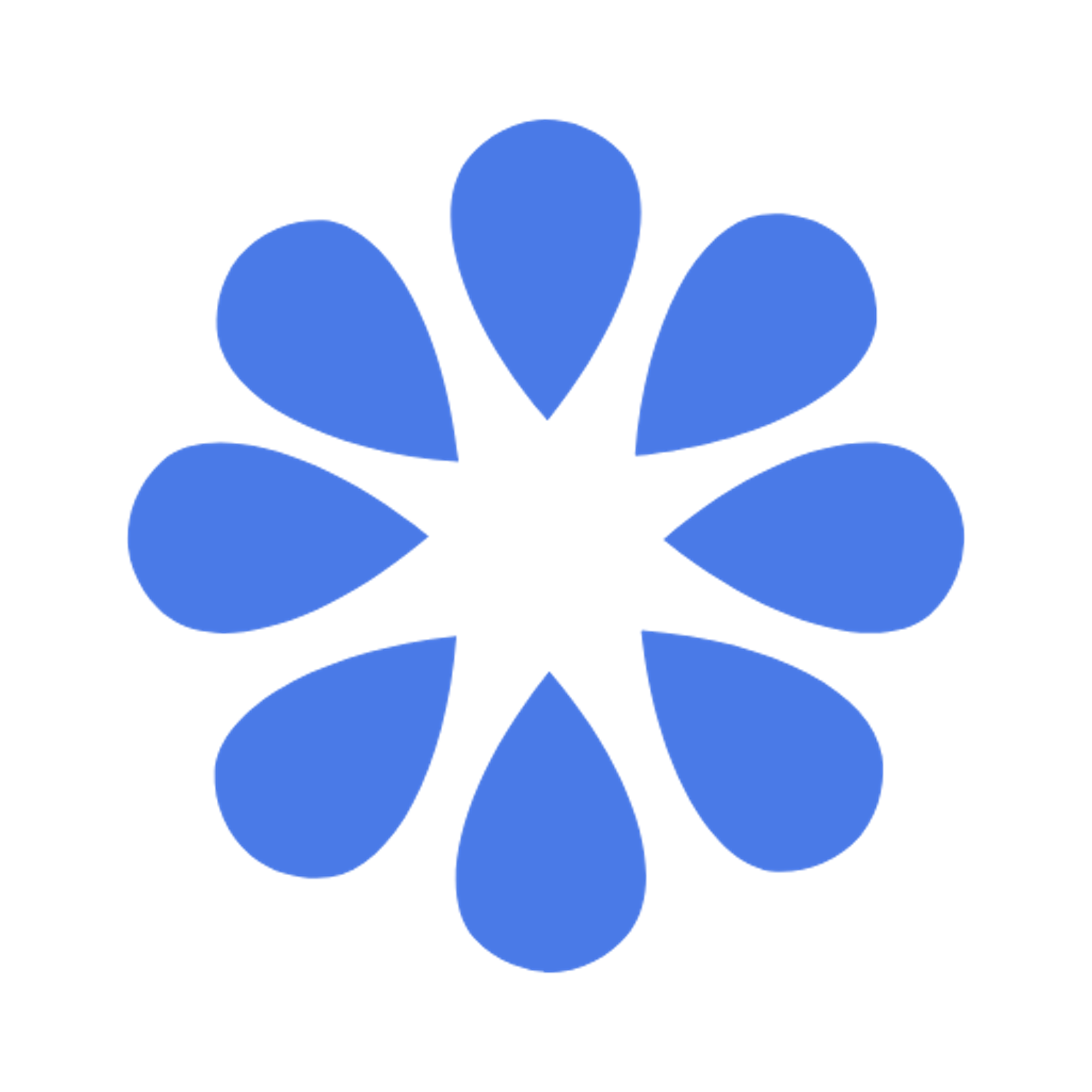 KaiwaBloom