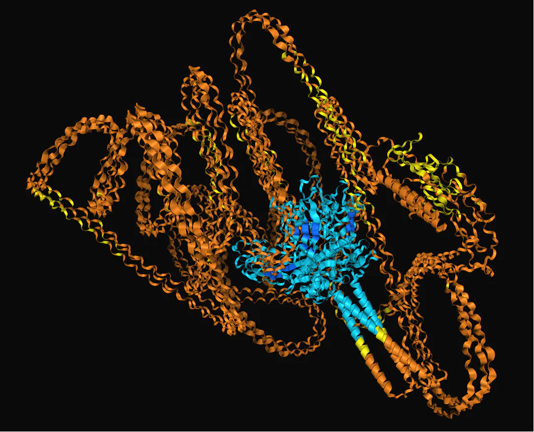 DNA 분자의 3D 모델
