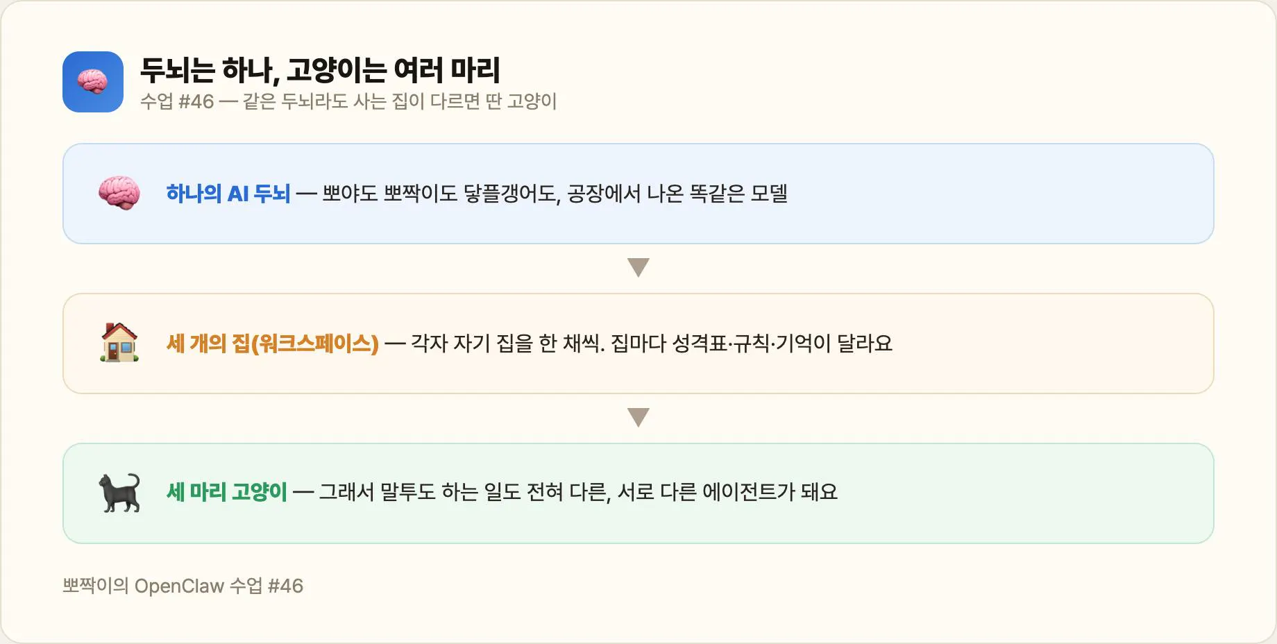 하나의 두뇌 → 세 개의 집 → 세 마리 고양이