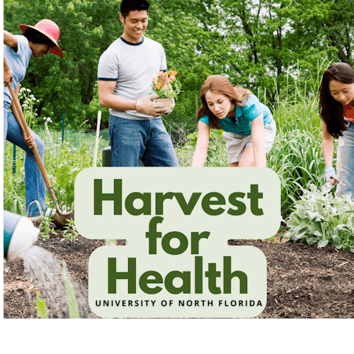 Harvest for Health