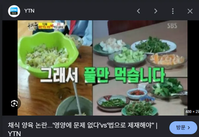 한국 음식 TV 프로그램의 스크린샷