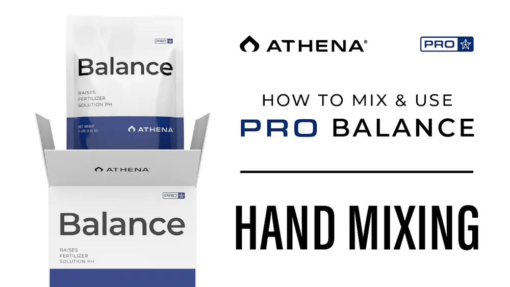 How to Mix & Use Pro Balance