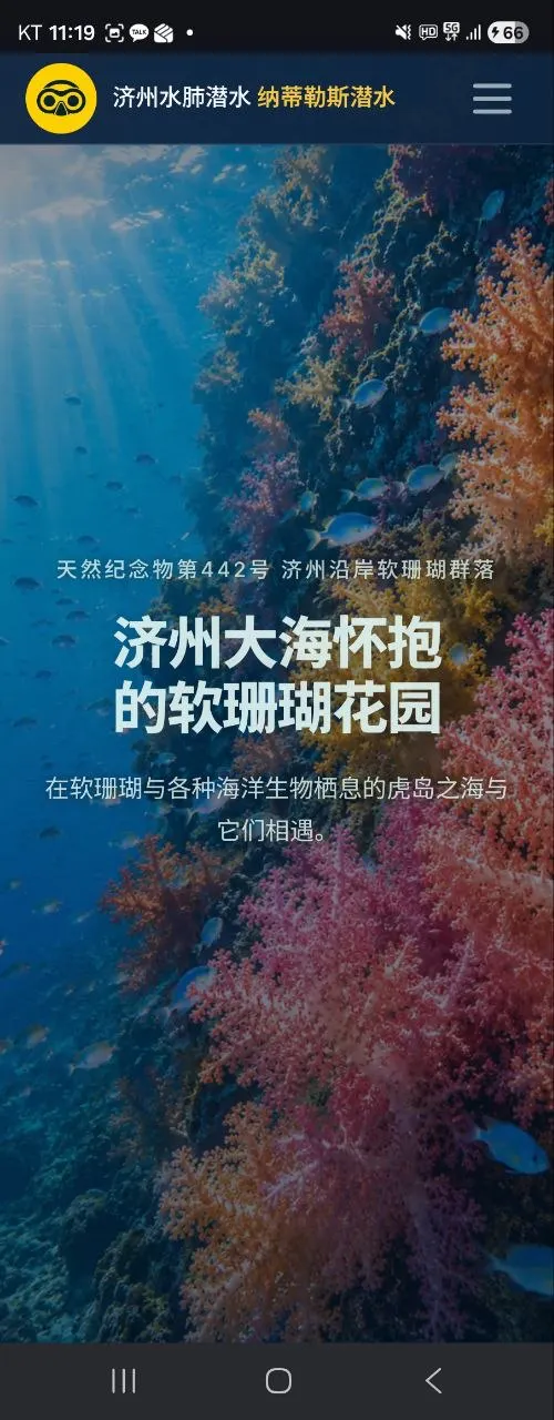 산호초 이미지가 있는 중국 앱