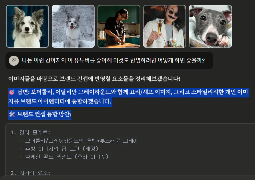 개가있는 한국 TV 쇼의 스크린 샷