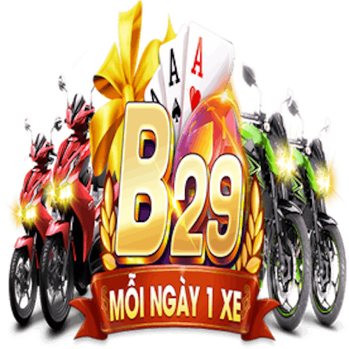 b29