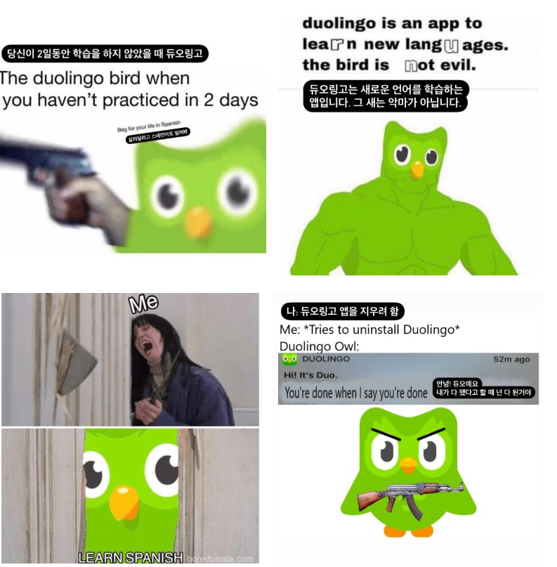 총이있는 녹색 올빼미의 일련