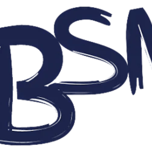 BSN Writing Services