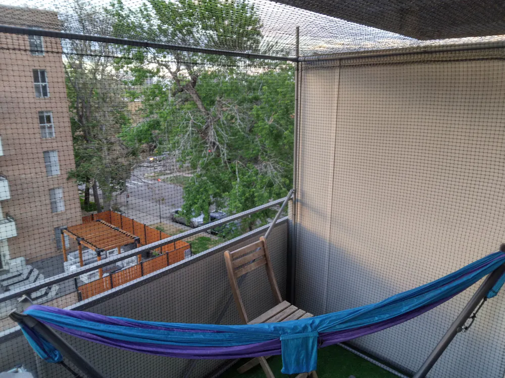 IMG_20260520_200155_HDR.jpg