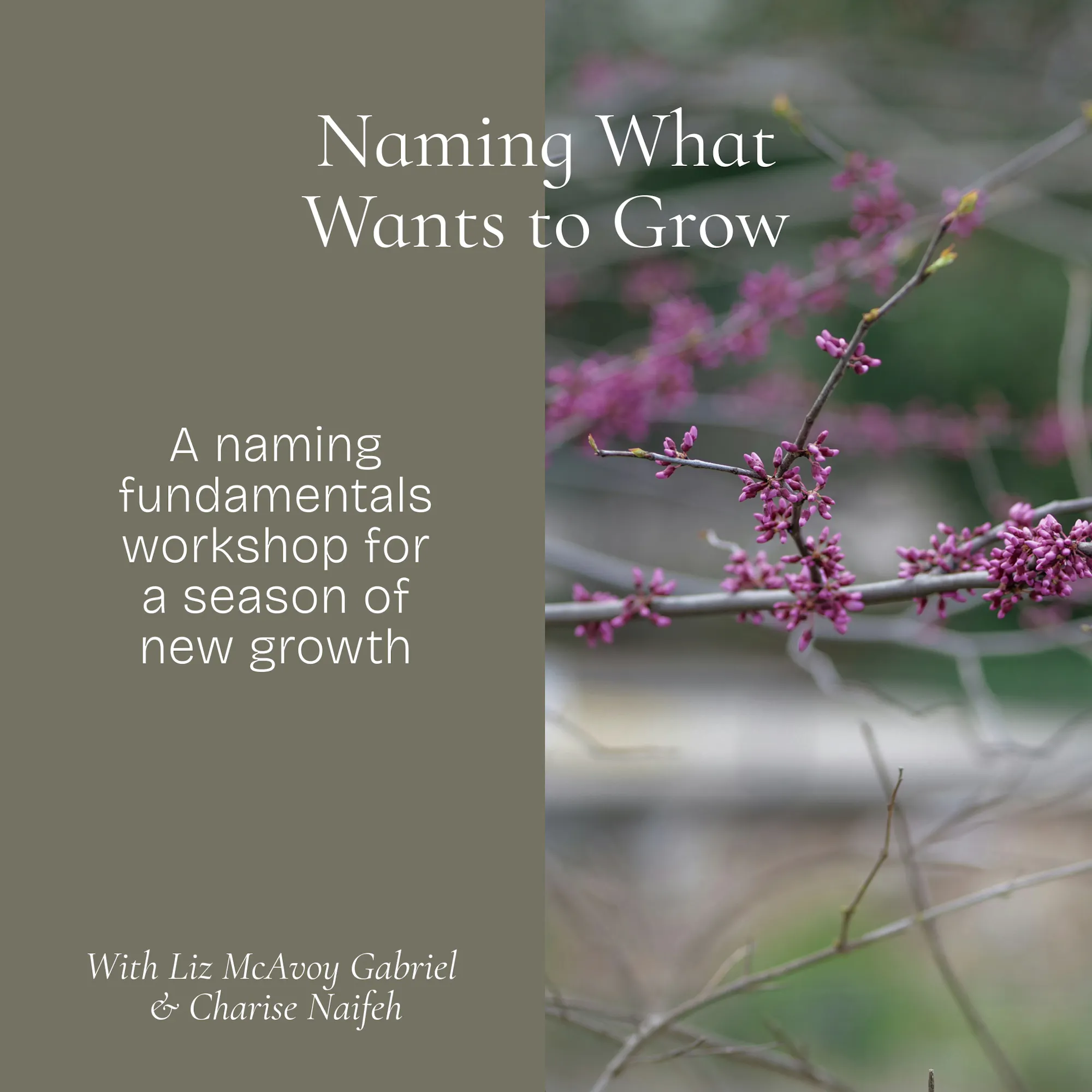 Naming Workshop Graphic_square.jpg