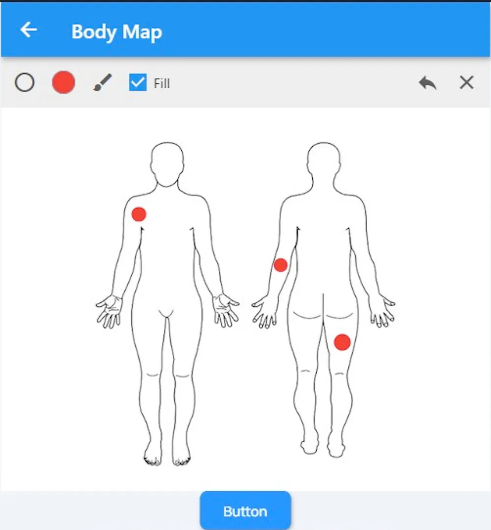 Body Map Widget