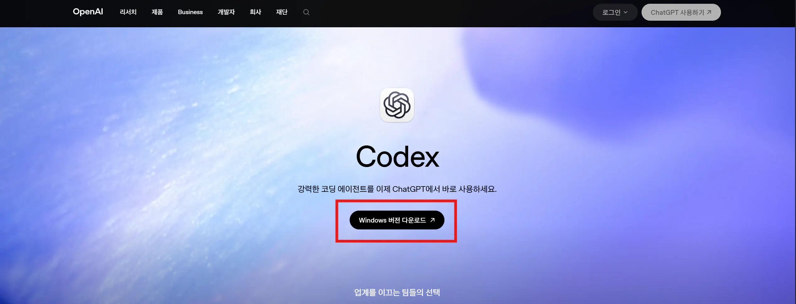 코덱스라는 단어가 강조 표시된 컴퓨터 화면
