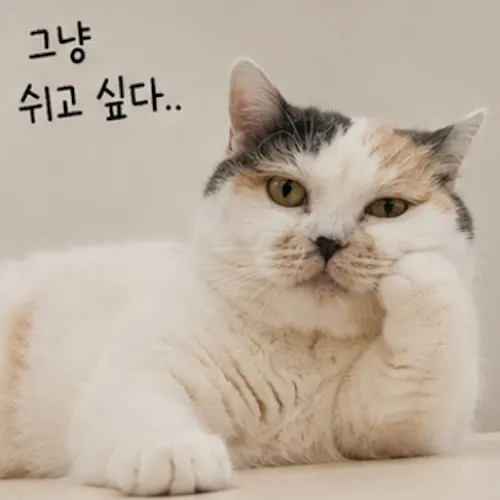 이민영(Emilia)