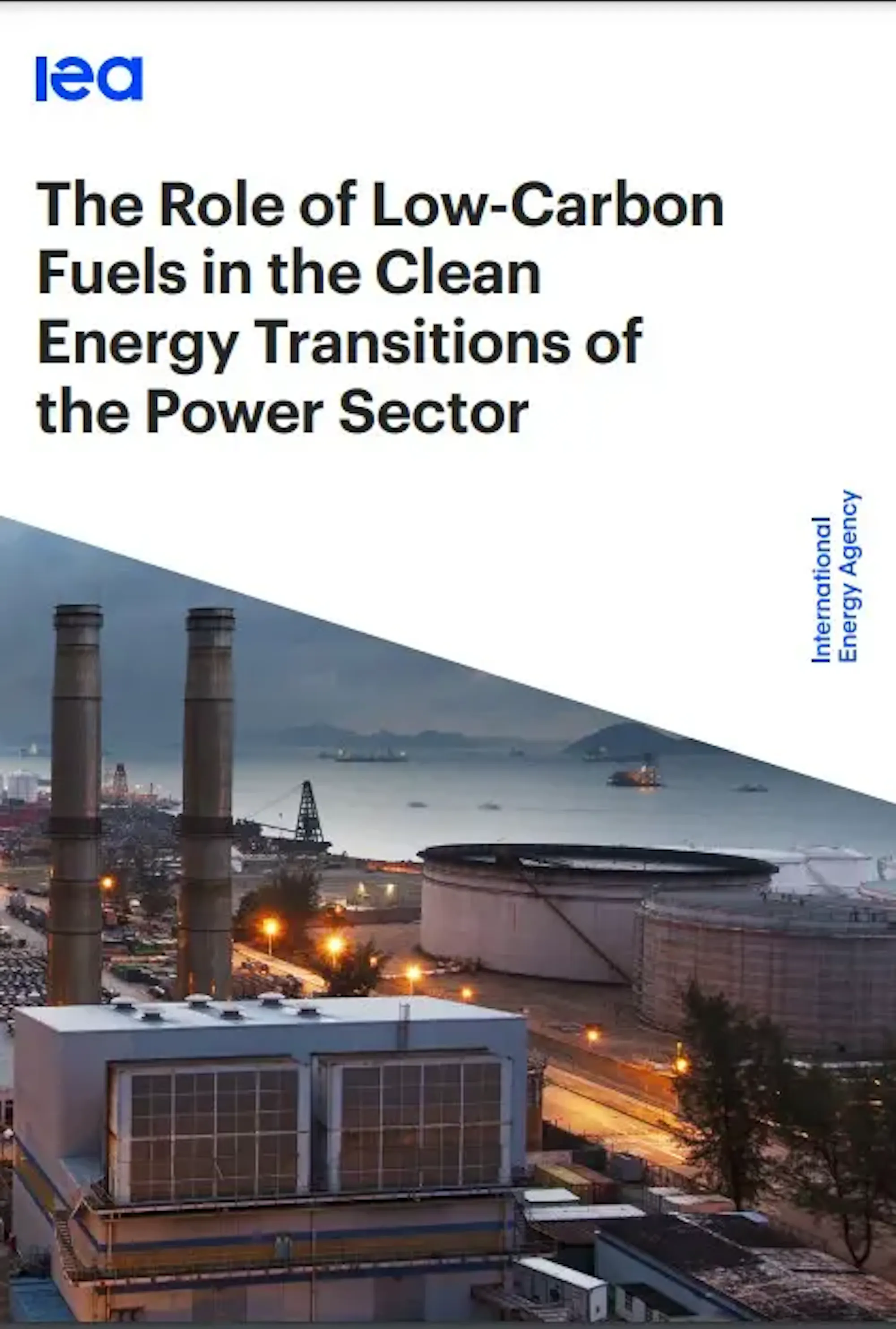 The Role of Low-Carbon Fuels in the Clean Energy Transitions of the ...