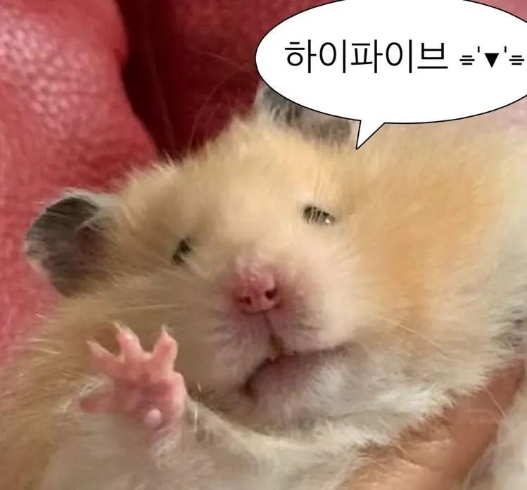 한국어 말풍선을 들고 있는 햄스터