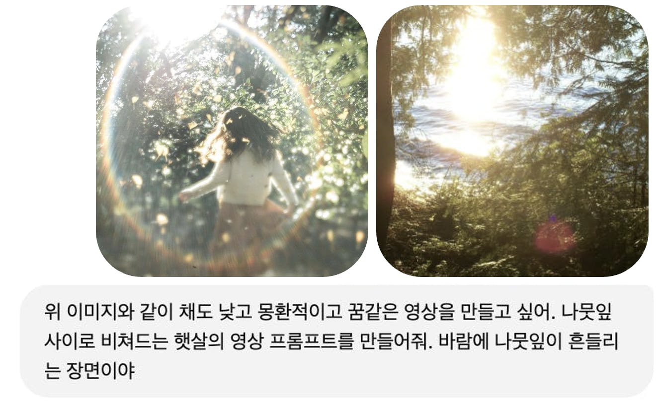 여자가 태양이 빛나고 숲속에서 걷고있어