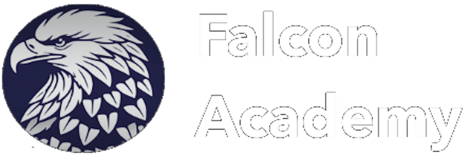 Falcon Academy