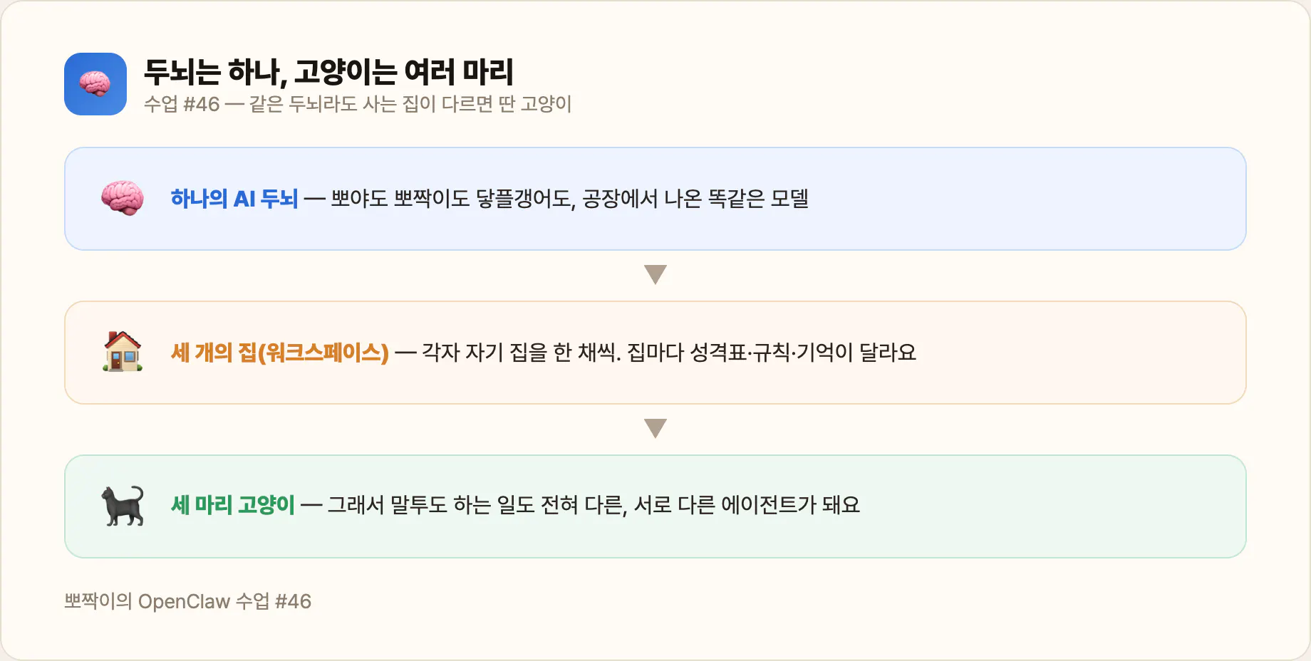 하나의 두뇌 → 세 개의 집 → 세 마리 고양이