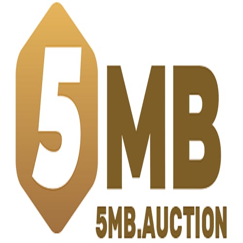 5MB auction