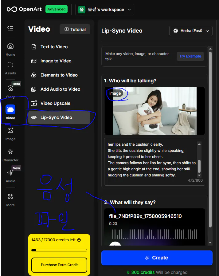 컴퓨터 화면에서 비디오의 스크린 샷