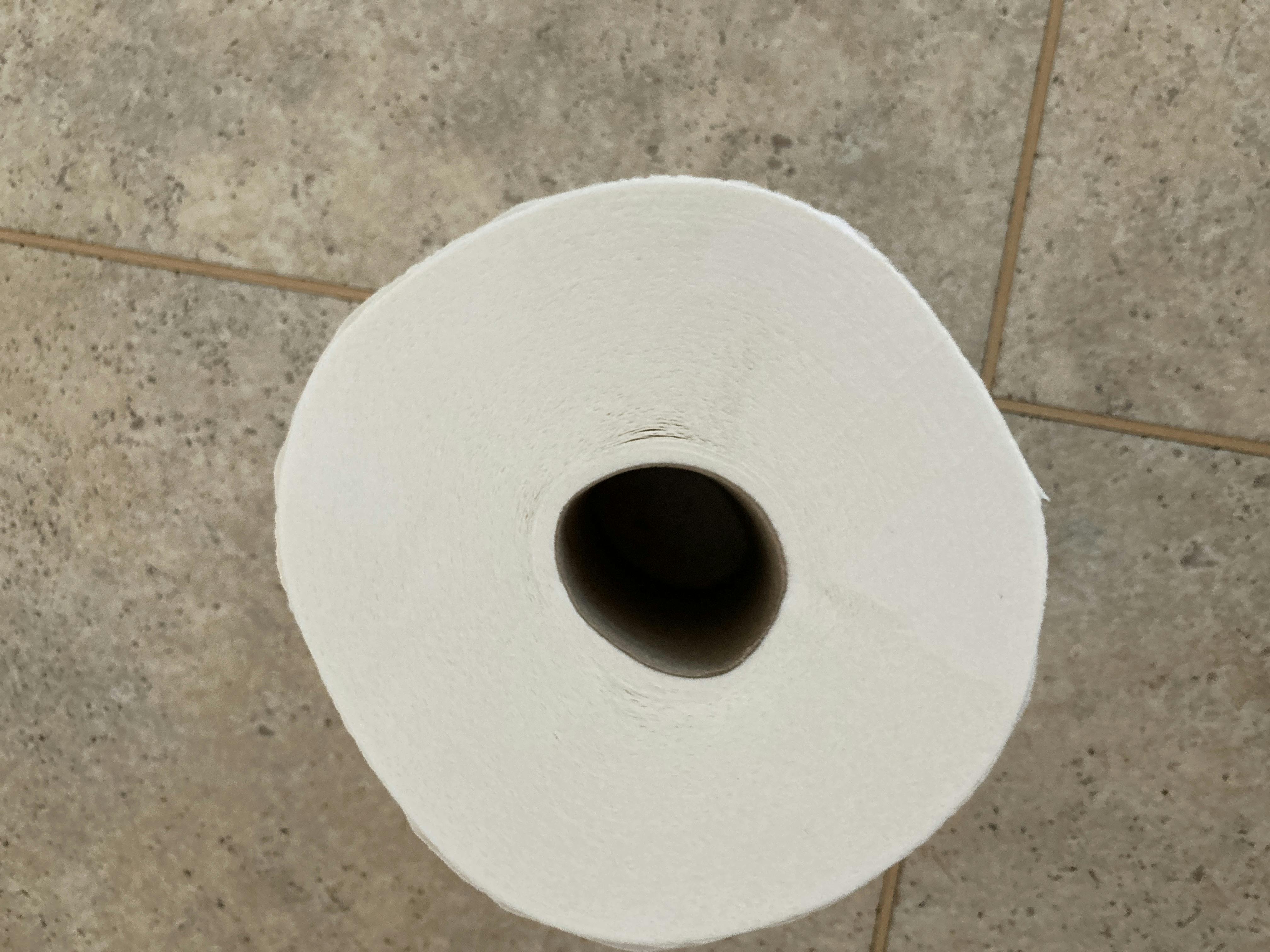 Joke: Why did the toilet paper roll down the hill?