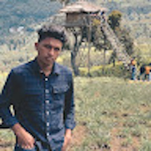 Praveen K