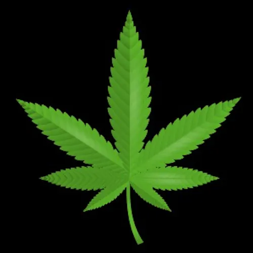 wellbutrin and marijuana