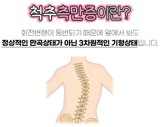 한국 중국 중국 중국 중국 중국 중국 치치