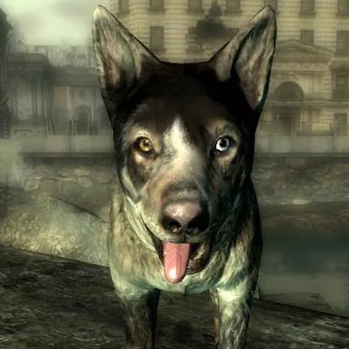 Dogmeat
