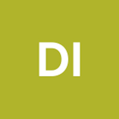 Diligent Investor
