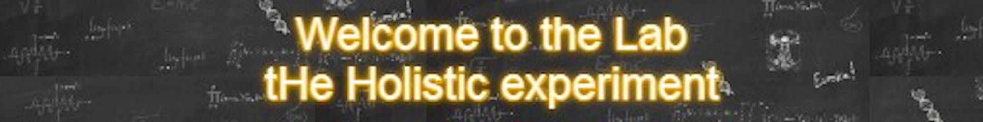 tHe Holistic experiment