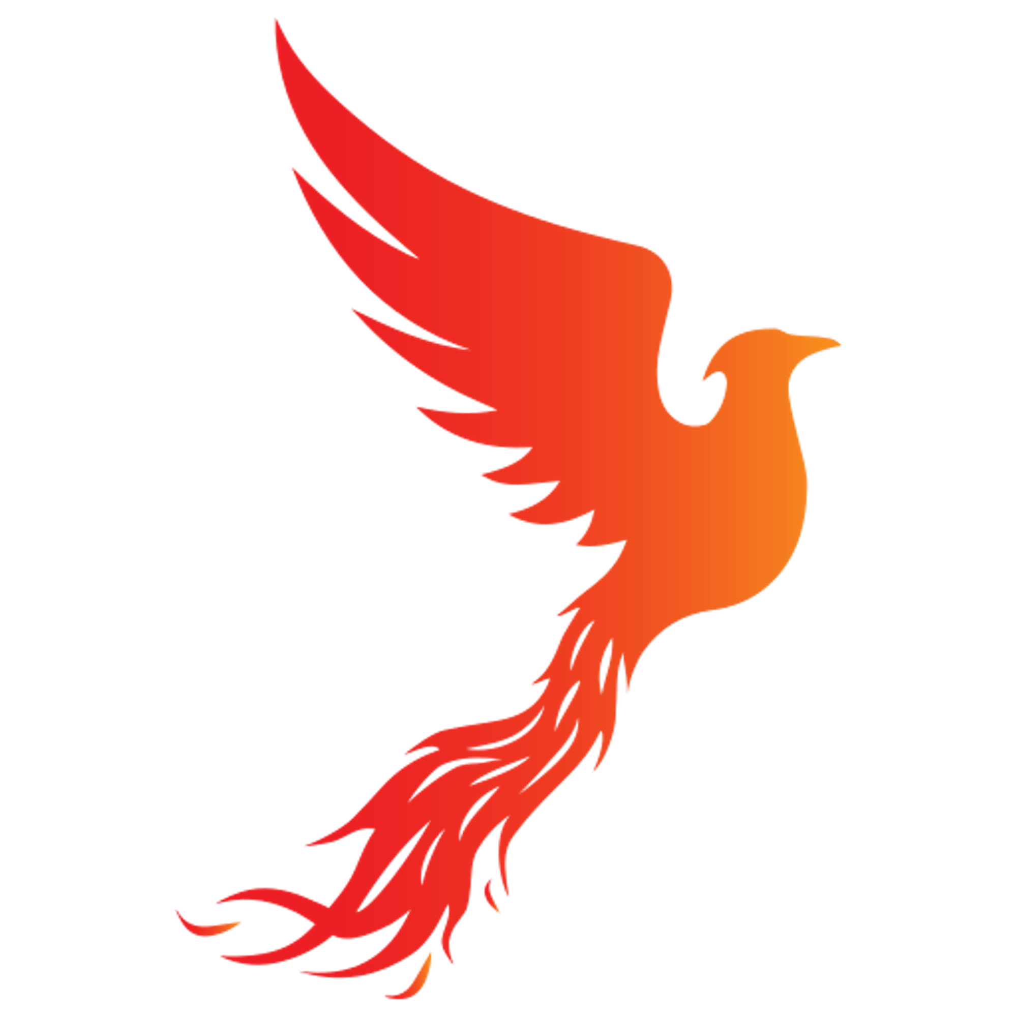 The Corporate Fixers