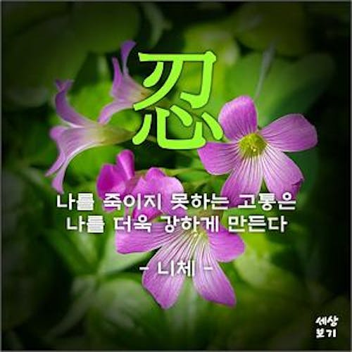 일장춘몽