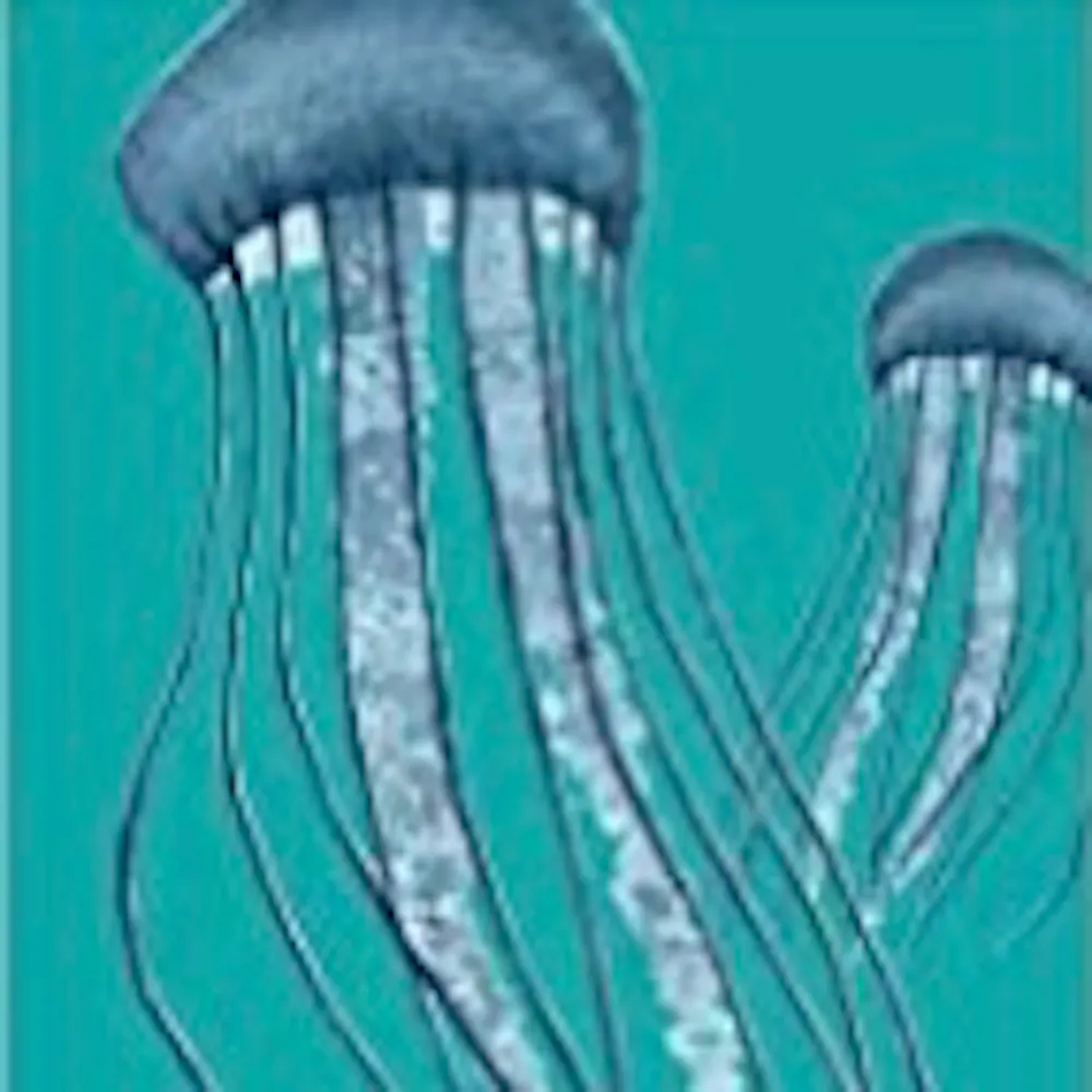 Impressive Squid