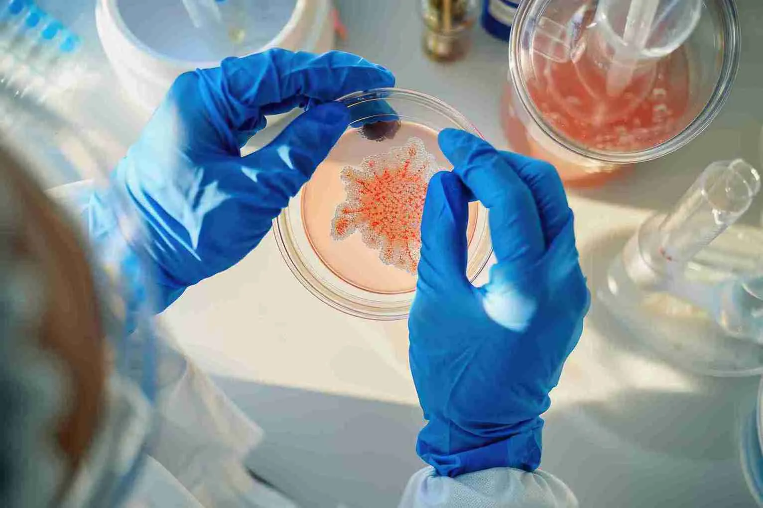 An embryo can be chromosomally normal,