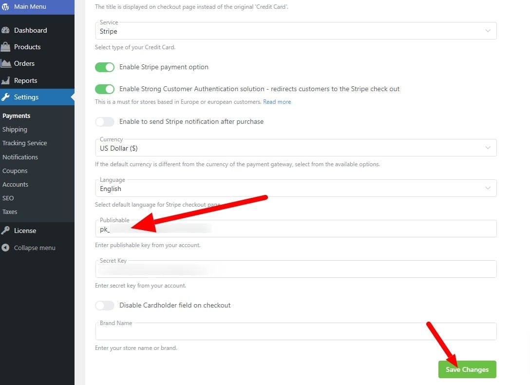 Pasting the Publishable key into the payment page in the store's backend